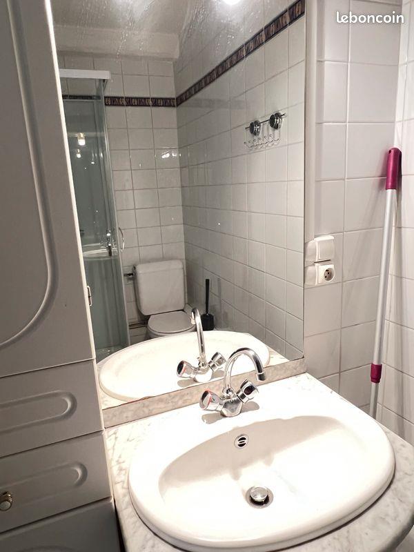 Appartement à louer, 22m², Lezoux