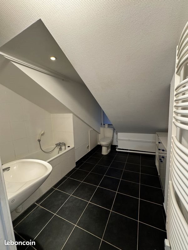Appartement à louer, 48m², Strasbourg