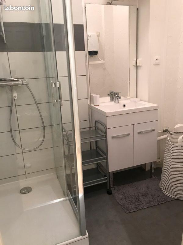 Appartement à louer, 30m², Saint-Etienne