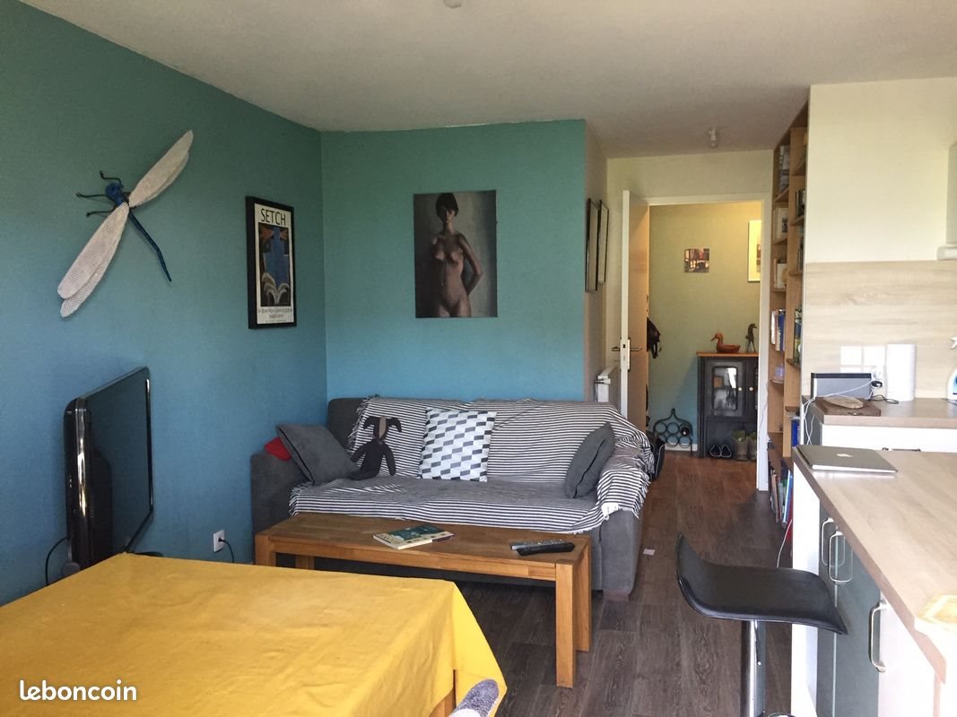 Appartement à louer, 45m², Auray
