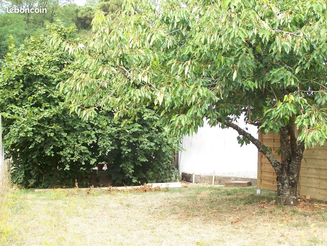 Appartement à louer, 55m², Beaupréau