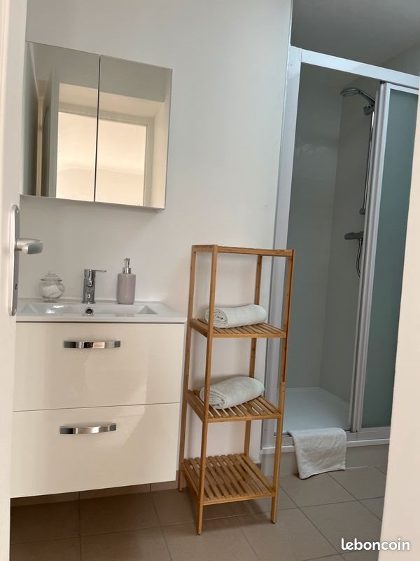 Appartement à louer, 49m², Veauche