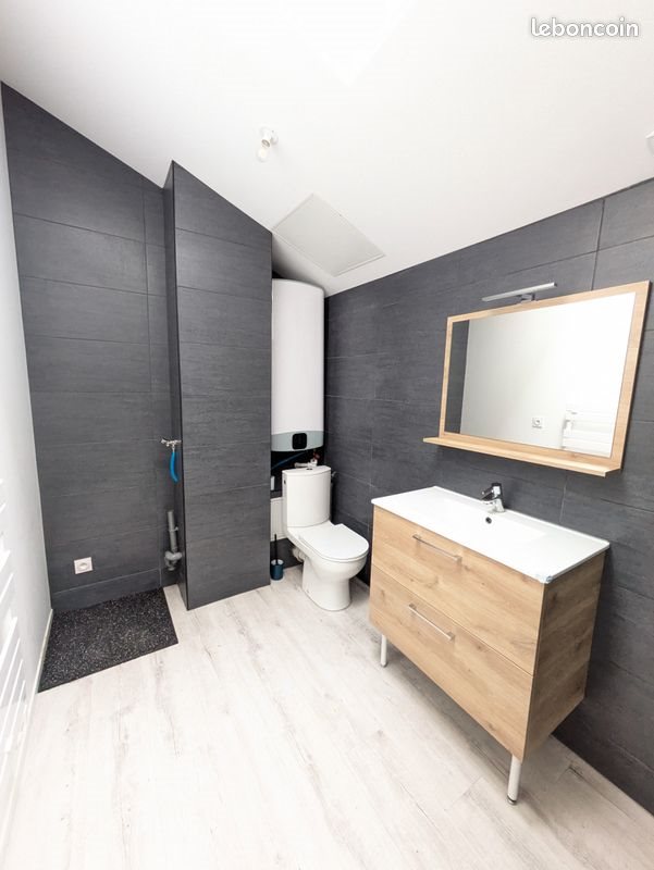 Appartement à louer, 50m², Beaurepaire