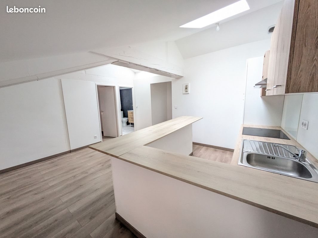 Appartement à louer, 50m², Beaurepaire