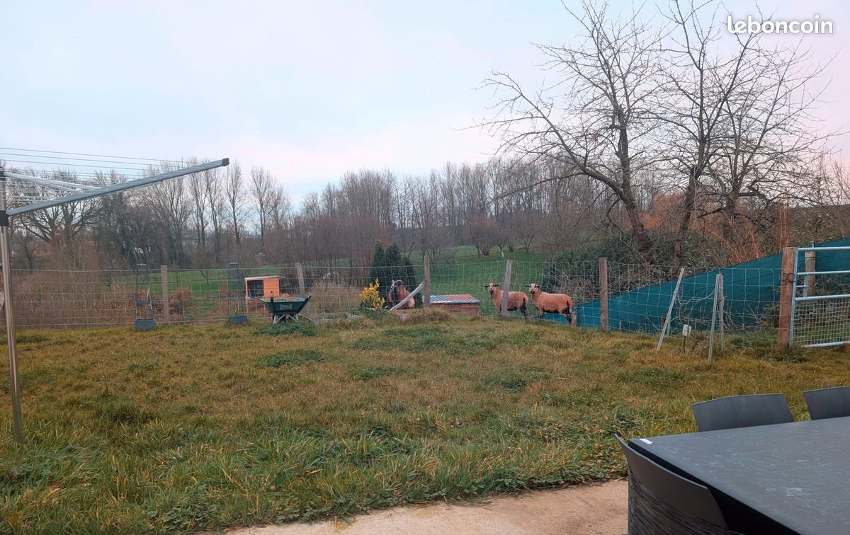 Maison à louer, 100m², Roquetoire