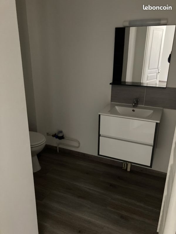 Appartement à louer, 32m², Saint-Etienne