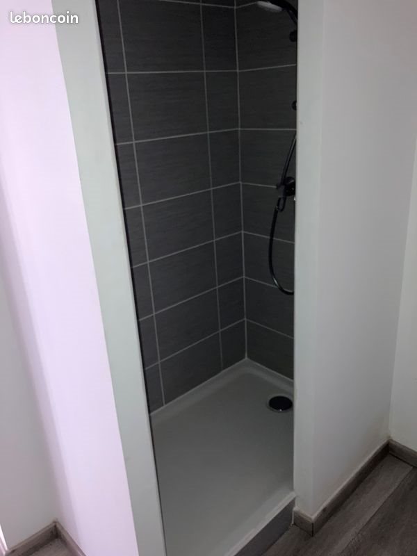 Appartement à louer, 32m², Saint-Etienne