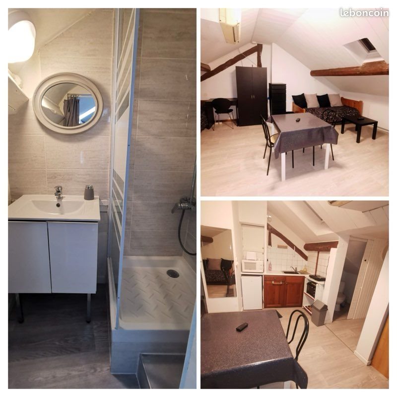 Appartement à louer, 25m², Dijon