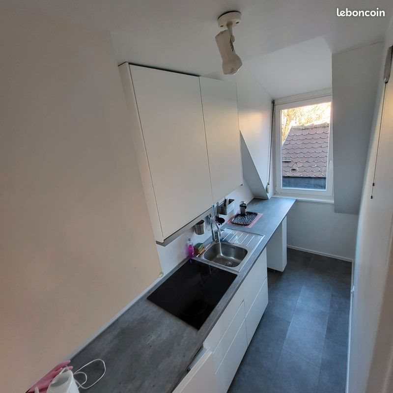 Appartement à louer, 39m², Strasbourg