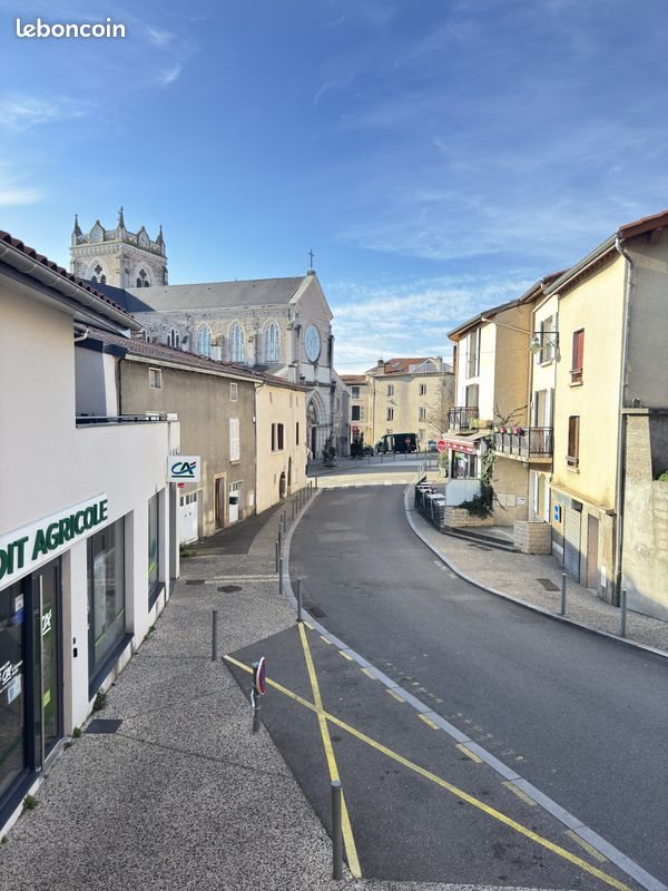 Appartement à louer, 46m², Saint-Martin-la-Plaine