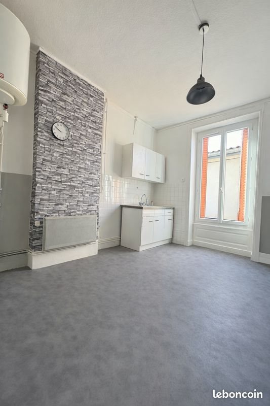 Appartement à louer, 46m², Saint-Martin-la-Plaine