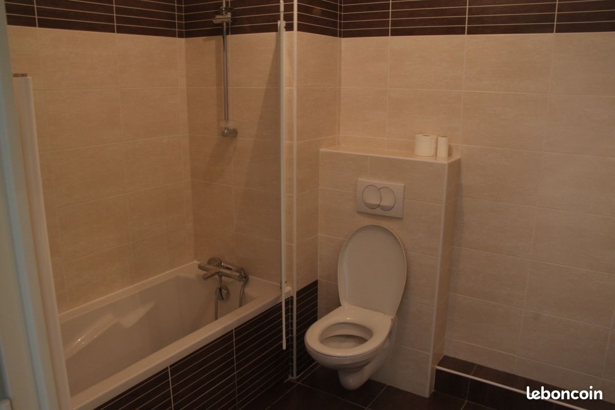 Appartement à louer, 42m², Lyon 7ème