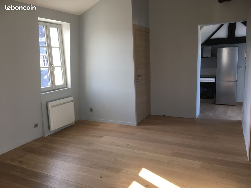 Appartement à louer, 45m², Tours