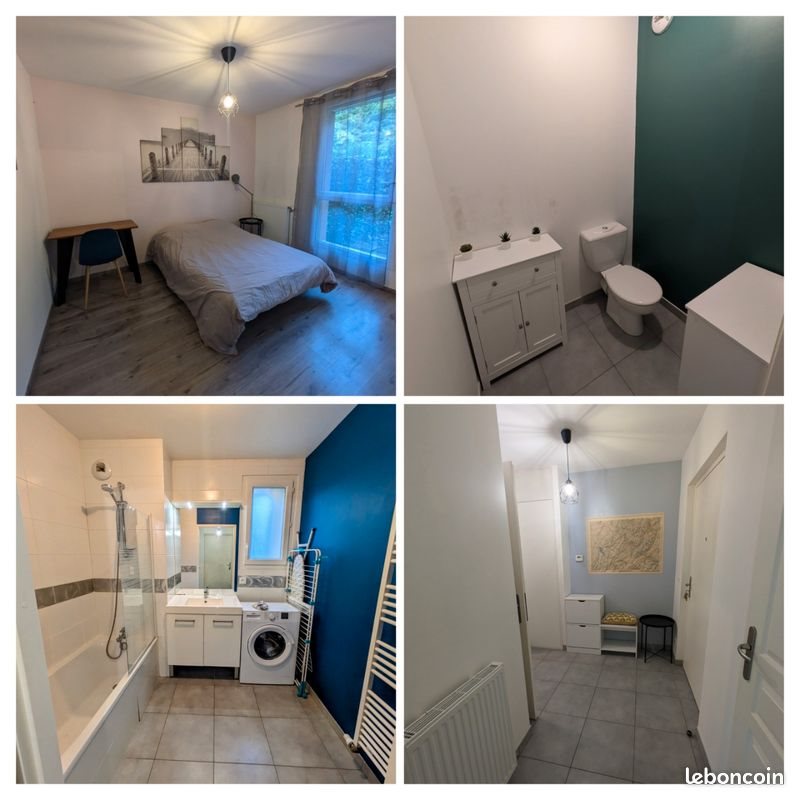 Appartement à louer, 50m², Amancy