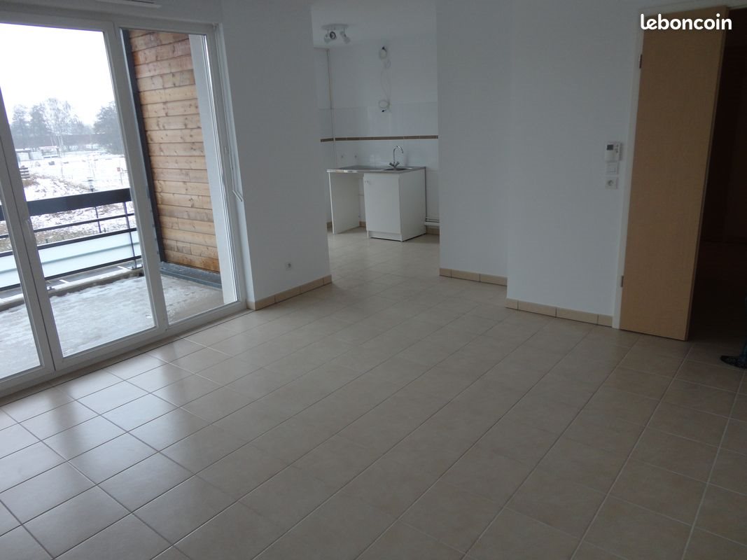 Appartement à louer, 46m², Lipsheim