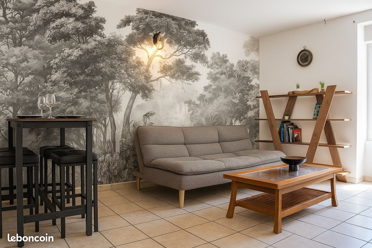 Appartement à louer, 63m², Millau