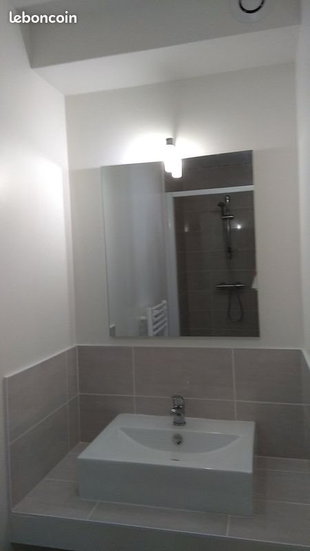 Appartement à louer, 28m², Saint-Etienne