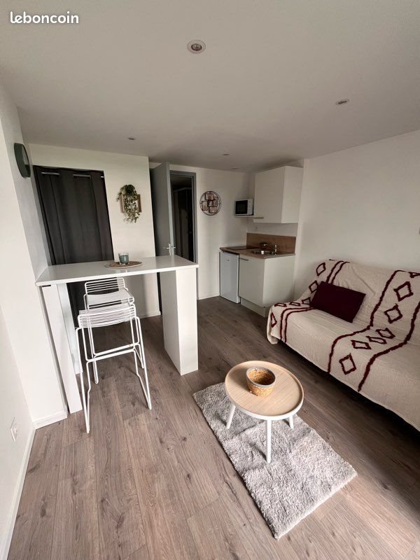 Appartement à louer, 18m², Saint-Etienne
