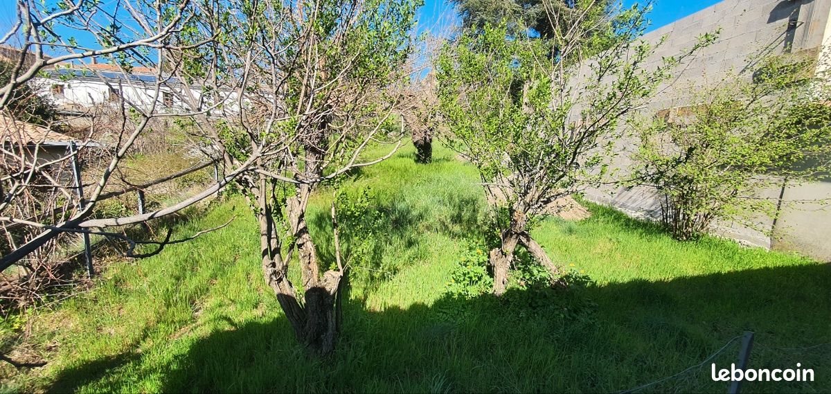 Maison à louer, 81m², Colognac