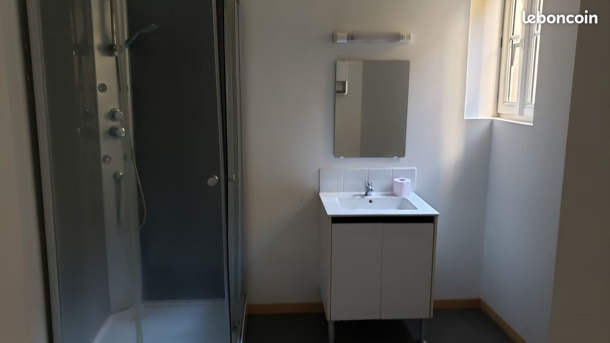 Appartement à louer, 47m², Lille