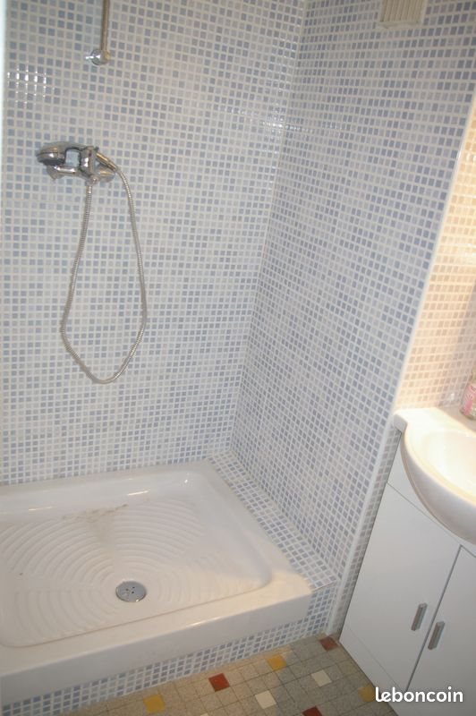 Appartement à louer, 31m², Lyon 3ème