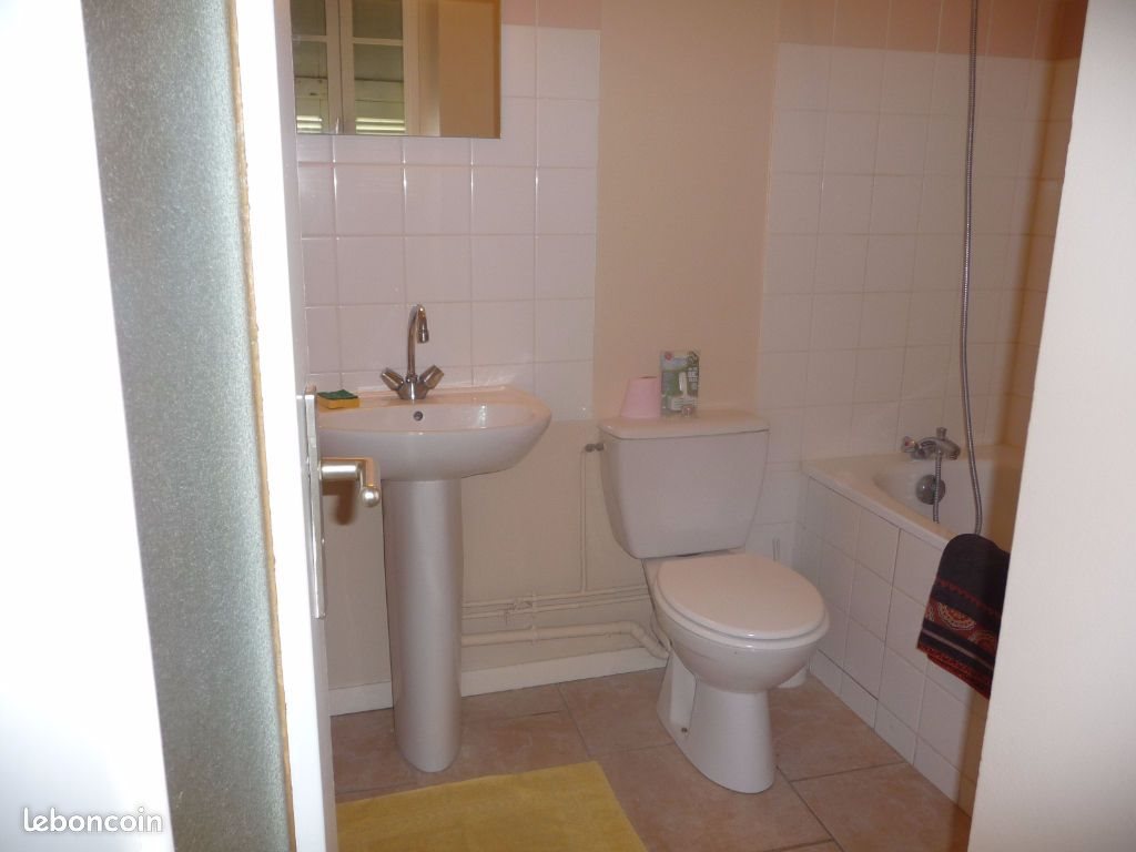 Appartement à louer, 43m², Tournus