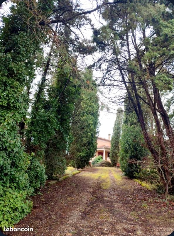 Maison à vendre, 280m², Tonneins