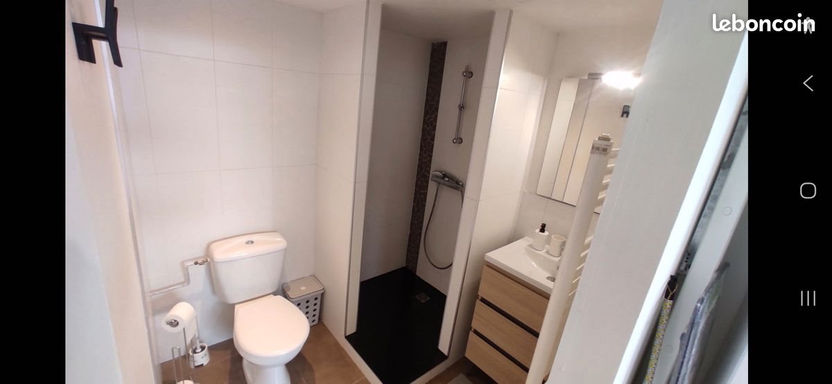 Appartement à louer, 34m², Saint-Etienne