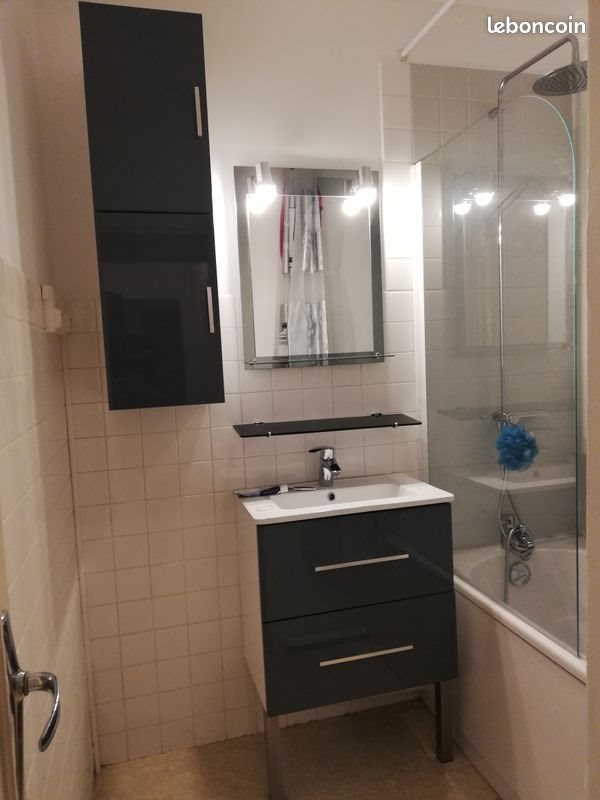 Appartement à louer, 50m², Le Mans