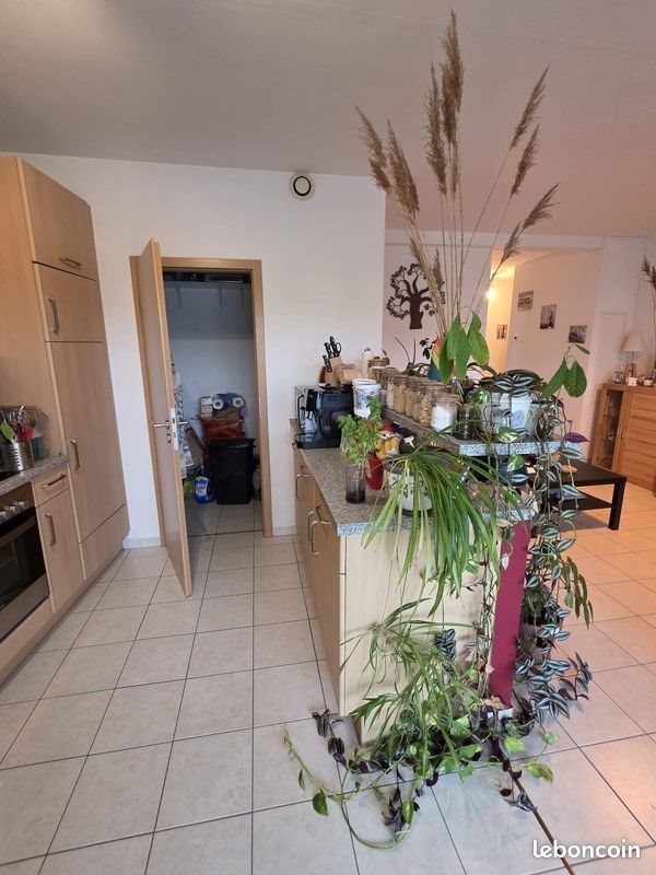 Appartement à louer, 70m², Carling