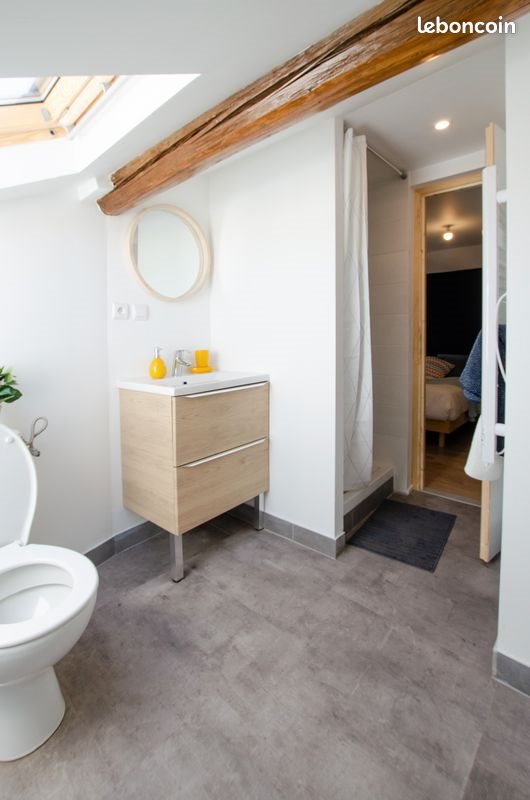 Appartement à louer, 35m², Sours