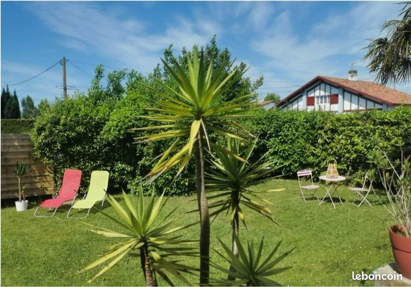 Maison à louer, 105m², Boucau