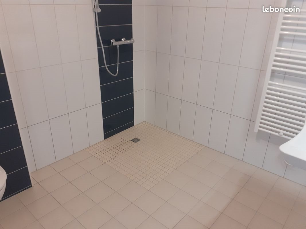 Appartement à louer, 27m², Pontpierre