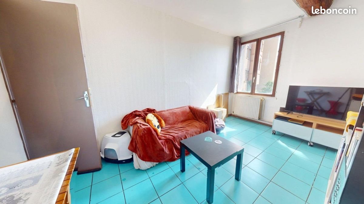 Appartement à louer, 26m², Lyon 1er