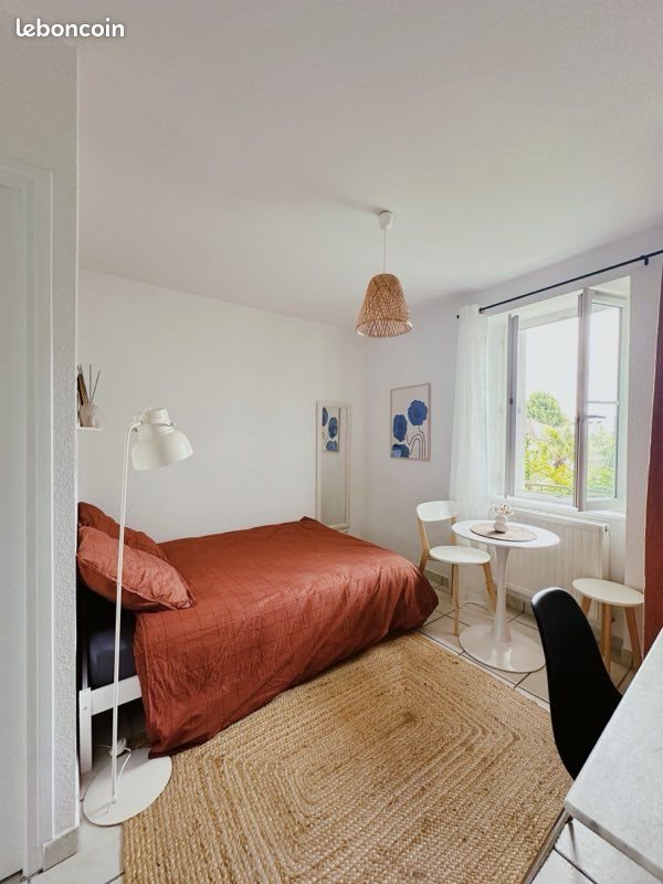 Appartement à louer, 17m², Roanne