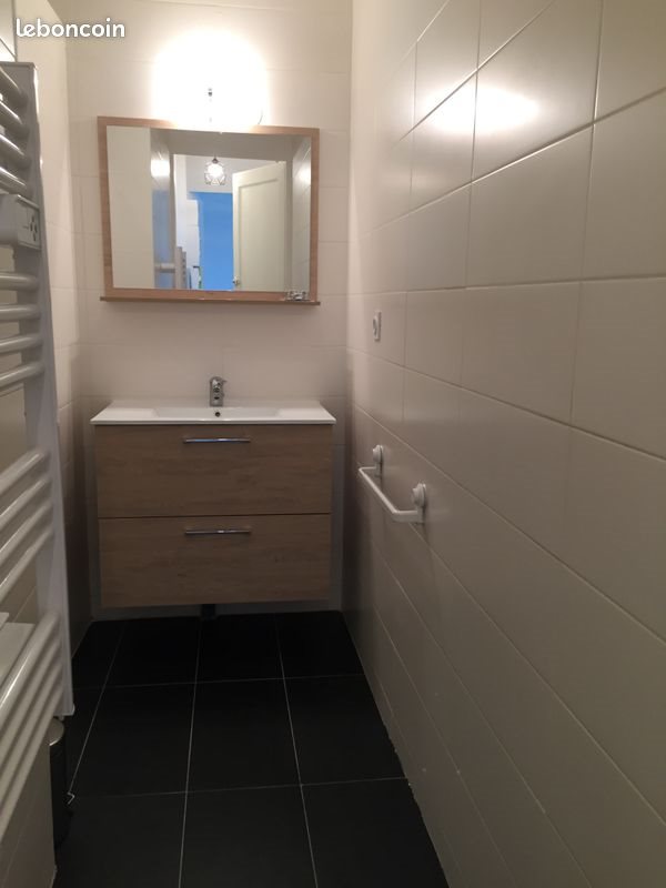 Appartement à louer, 51m², Lyon 6ème