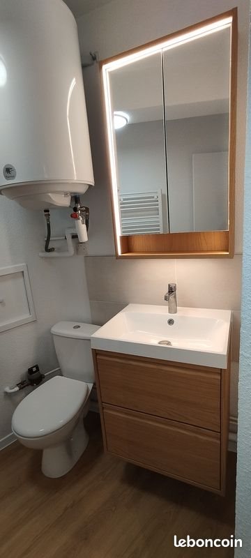 Appartement à louer, 20m², Lyon 8ème