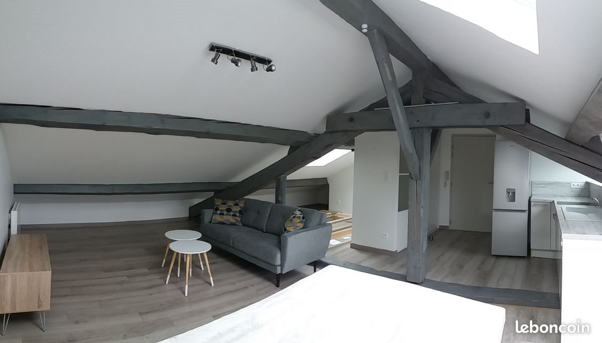 Appartement à louer, 35m², Saint-Etienne