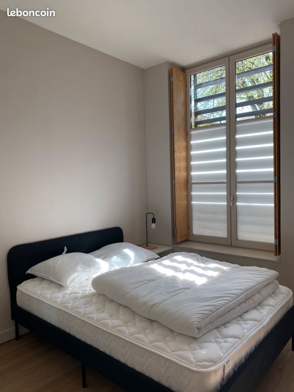 Appartement à louer, 60m², Saint-Etienne