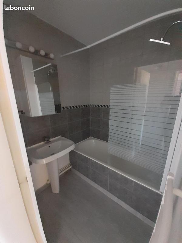 Appartement à louer, 34m², Saint-Etienne