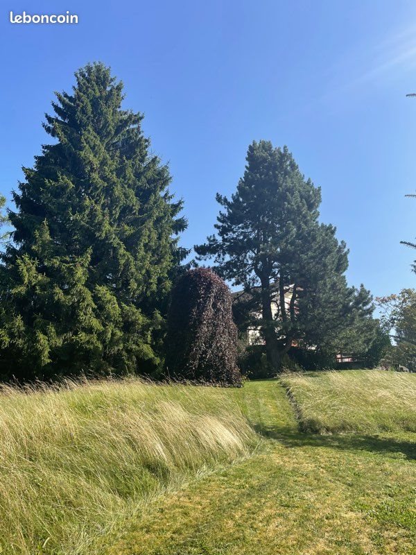 Maison à vendre, 160m², Les Hôpitaux-Neufs