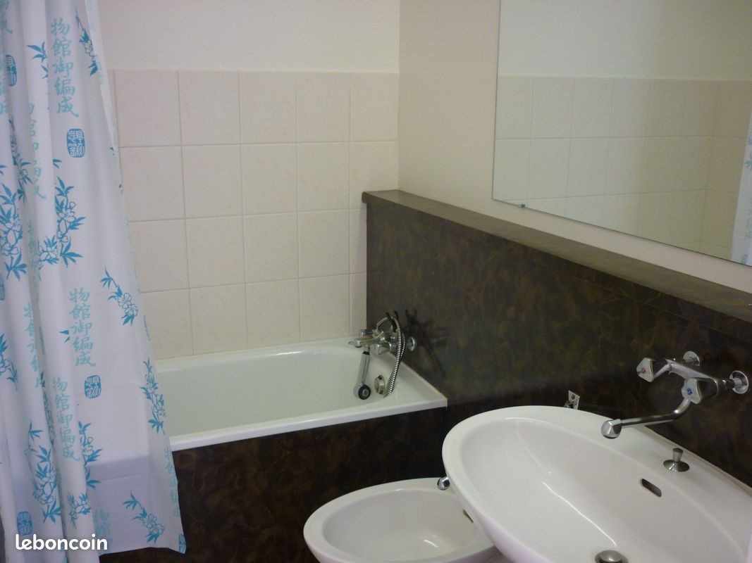 Appartement à louer, 41m², Mende