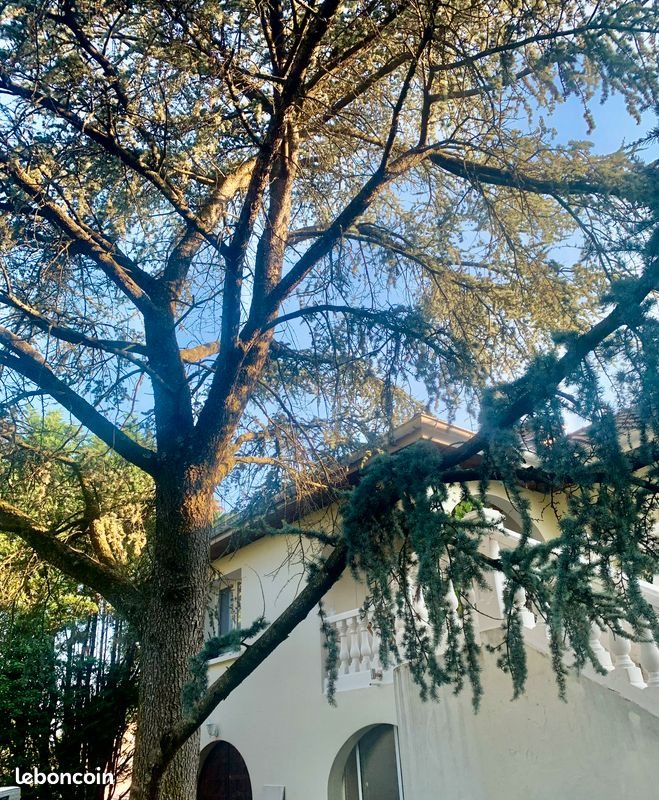 Maison à vendre, 300m², Ecully