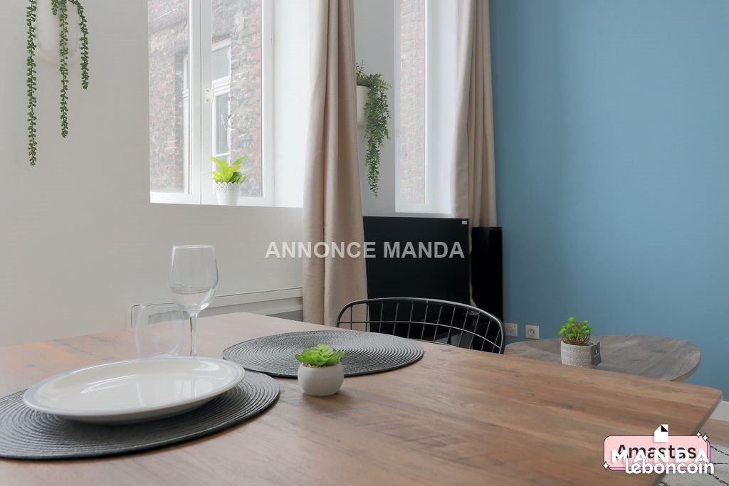 Appartement à louer, 23m², Lille