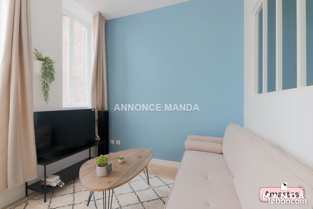 Appartement à louer, 23m², Lille