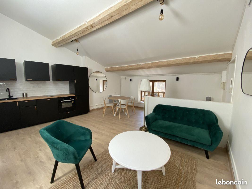 Appartement à louer, 49m², Saint-Etienne