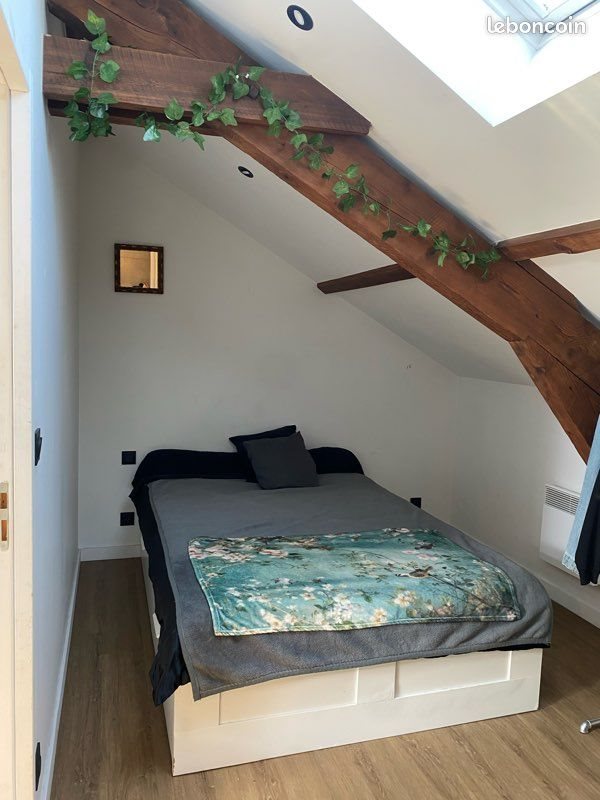 Appartement à louer, 45m², Oullins