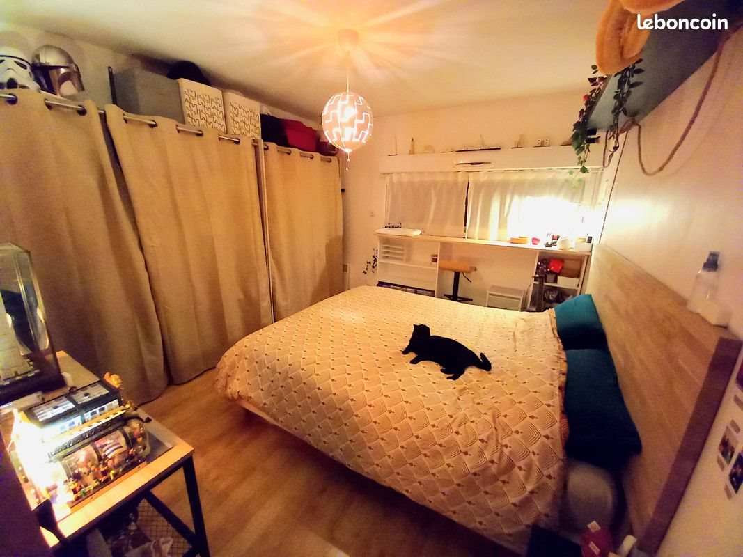 Appartement à louer, 48m², Mont-Saint-Aignan