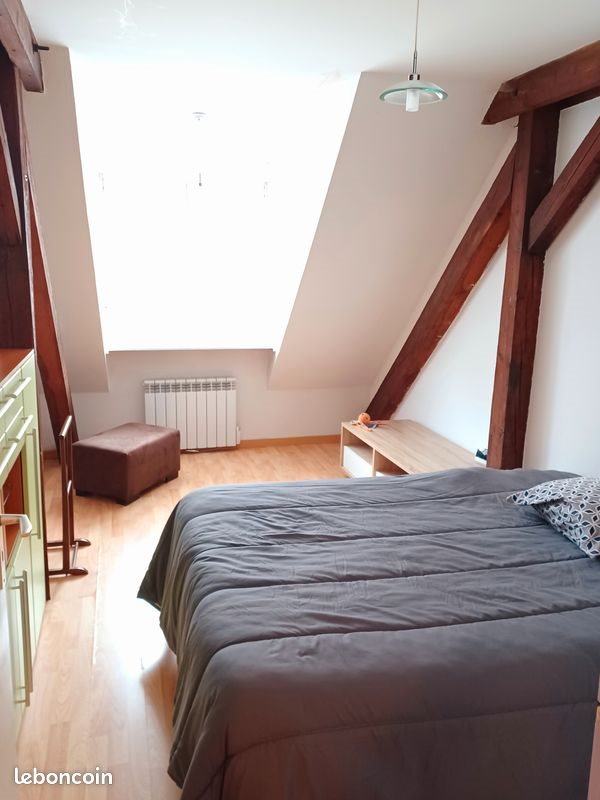Appartement à vendre, 50m², Thann