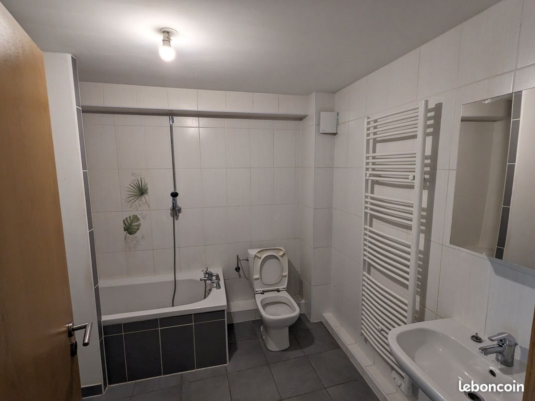 Appartement à louer, 48m², Altkirch